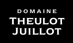 Theulot Juillot Logo